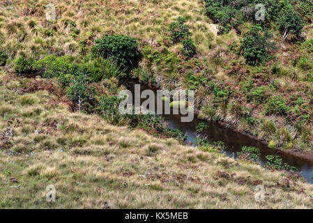 Straße, die zu den Horton Plains, Sri Lanka Stockfoto