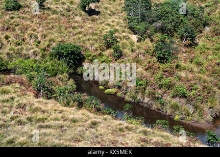 Straße, die zu den Horton Plains, Sri Lanka Stockfoto