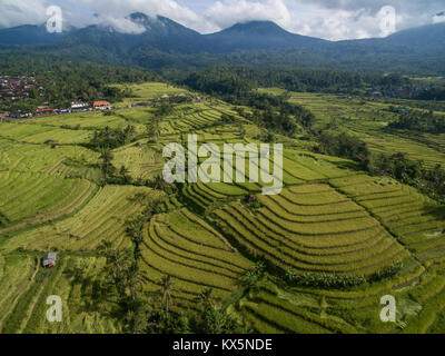 Bali UNESCO Welterbe Jatiluwih Reis Terrasse, berühmten touristischen Destination im westlichen Teil von Bali von der atemberaubenden Aussicht auf Landschaften. Stockfoto