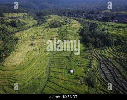 Bali UNESCO Welterbe Jatiluwih Reis Terrasse, berühmten touristischen Destination im westlichen Teil von Bali von der atemberaubenden Aussicht auf Landschaften. Stockfoto