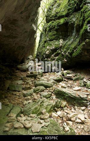 Die engen steilen Seiten der tiefen und abgeschiedenen Canyon des Gueulards. Ein Zweig des Gorges d'Omblèze, im Vercors Regional Park. La Drôme, Frankreich Stockfoto