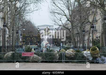 Weihnachten Bäume auf die Straßen von Paris, Recycling, post Christmas Blues. Stockfoto