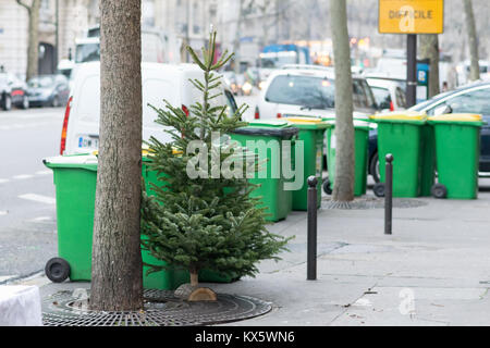 Schwierig Weihnachtsbäume gedumpten und verworfen werden auf den Straßen von Paris. Stockfoto