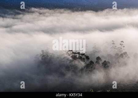 Am frühen Morgen Nebel rollt in die cederberg Mountains in der Nähe von Citrusdal, Western Cape, Südafrika Stockfoto