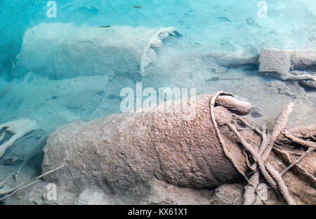 Verschmutztes Wasser in den See. Fässer mit Abfällen unter Wasser. Stockfoto