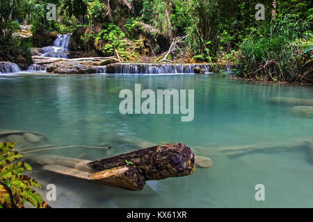 Die Kuang Si Wasserfall, da Tat Kuang Si Wasserfälle Luangprabang, Laos bekannt. Stockfoto