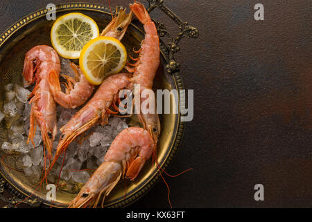 Große Tiger Garnelen und Scheibe der Zitrone frisch in der alten Platte voller Eis auf dunklem Hintergrund. Platz für Text Stockfoto