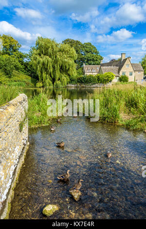 Enten auf dem Wasser auf die Mühle Teich auf einem zum Teil bewölkten Sommertag. Fairford, Gloucestershire, England. Stockfoto