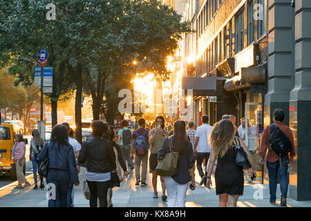 NEW YORK CITY - ca. 2017: Der Mensch steht in der Mitte eines langen Gehweg auf sein Handy während Massen von Menschen um ihn herum zu Fuß Stockfoto