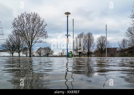 DUISBURG/Deutschland - 08. JANUAR 2017: Der Rhein Hochwasser ist die Muehlenweide in Ruhrort Stockfoto