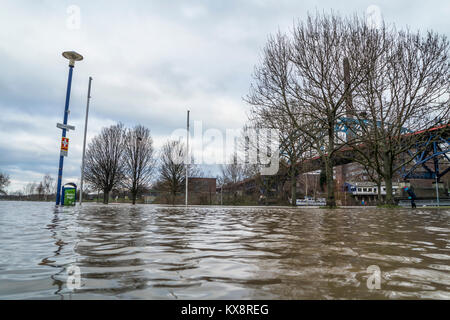 DUISBURG/Deutschland - 08. JANUAR 2017: Der Rhein Hochwasser ist die Muehlenweide in Ruhrort Stockfoto