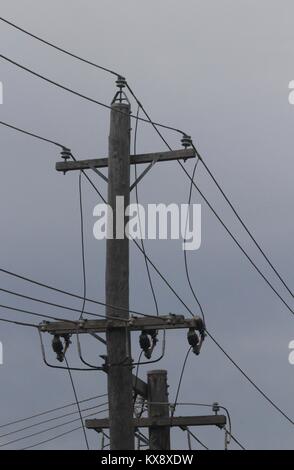 Power Pole an einem düsteren, bewölkten Tag in Canberra, ACT, Australien Stockfoto