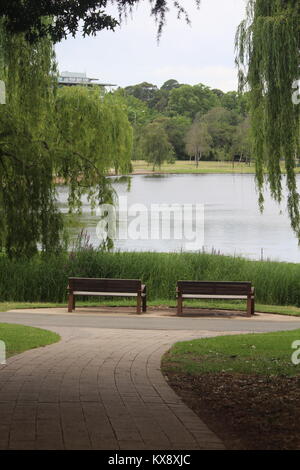 Zwei Sitze nach Nerang Pool in Commonwealth Park, Canberra. Von willow Bäume an einem warmen Sommertag schattiert. Stockfoto