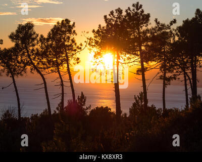 Sonnenuntergang zwischen Kiefern und die Berge. Sun reflektiert in Ocean's Wasser Stockfoto