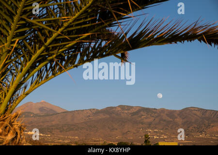 Mondaufgang, Teide und Palm Tree leaf gesehen von der Westküste am Playa San Juan, Teneriffa, Kanarische Inseln, Spanien Stockfoto