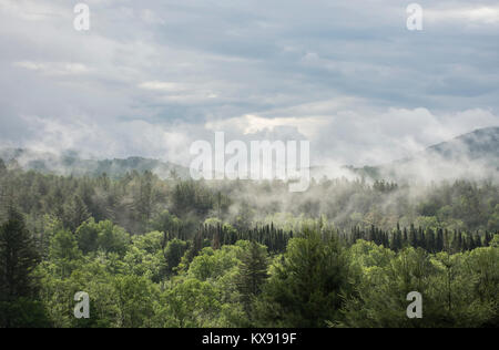 Nebel rollt über die grünen Berge, Vermont, United States Stockfoto