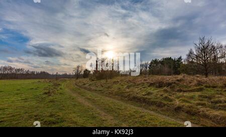 Wiese Landschaft unter blauem Himmel mit Wolken. Stockfoto