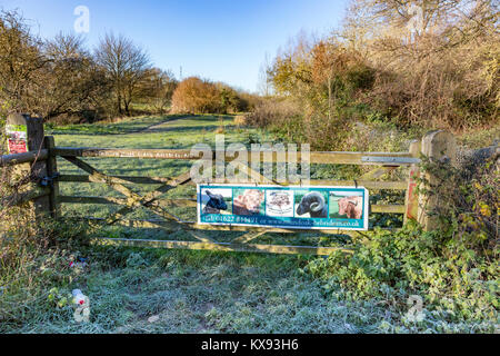 Schilder auf dem Meway Valley Walk, die zeigen, dass Runde Oak Farm Hebridean Schafe und Hochlandrinder sind im Feld, Barming, Kent, Großbritannien Stockfoto