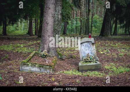 Alten, verlassenen Evangelischen Friedhof in der Nähe von jeziorowskie Dorf in der Woiwodschaft Ermland-Masuren in Polen Stockfoto