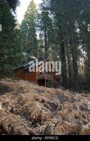 Gemütliche Hütte im Wald bei Sequioa Crest, Kalifornien Stockfoto