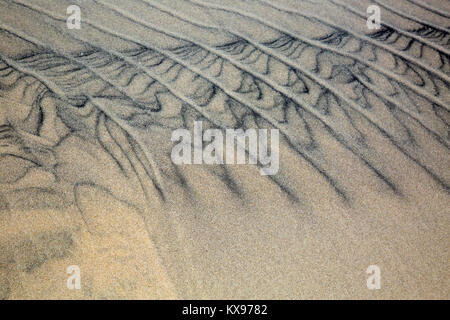 NC-01238-00... NORTH CAROLINA- Muster auf die Dünen vom Wind an der Jockey's Ridge State Park auf die Outer Banks in NagsHead. Stockfoto