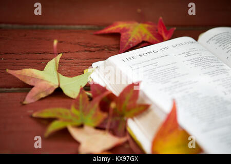 Rote Herbst Hintergrund mit der Bibel und Blätter. Stockfoto