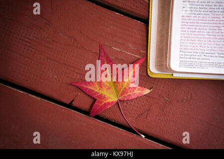 Rote Herbst Hintergrund mit der Bibel und Blätter. Stockfoto