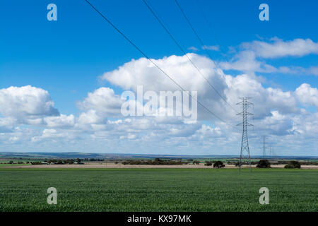 Elektrische Überlandleitungen und Türme Kreuzung ländlichen South Australia, in der Nähe von Mannum, in der Murraylands Stockfoto