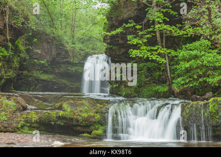 Sgwd Ddwli Isaf (Untere reißende Wasserfälle) auf dem Fluss Nedd Fechan, zwischen Pont Melin-fach und Pontneddfechan, Brecon Beacons National Park, South Wales Stockfoto
