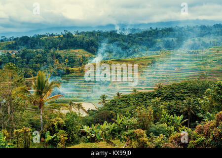 Typische schöne Reis terrassierten Reisfeldern im Zentrum von Bali, Indonesien Stockfoto