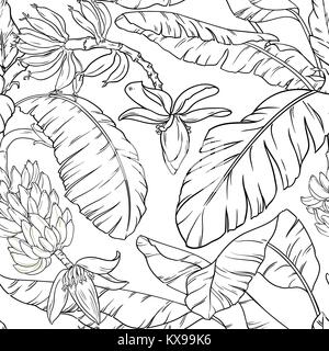 Bananenstaude nahtlose Muster auf weißem Hintergrund Stock Vektor