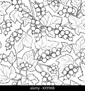 Schwarze Johannisbeere nahtlose Muster auf weißem Hintergrund Stock Vektor