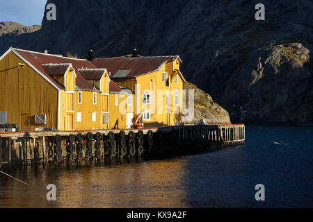 Nusfjord, Flakstadoya, Lofoten, Nordland, Norwegen Stockfoto