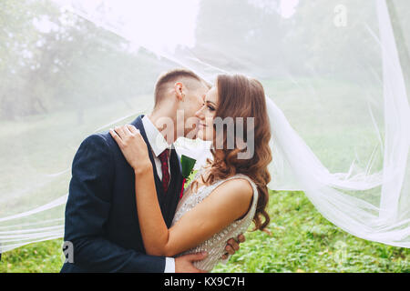 In der Nähe Romantische Porträt der schönen Hochzeit paar unter dem Schleier. Stockfoto