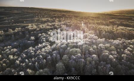 Cannock Chase und Brocton Heide erfassen von oben Stockfoto