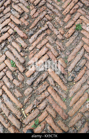 Alte rote Steine auf der Straße im Palast, Lopburi, Thailand Stockfoto