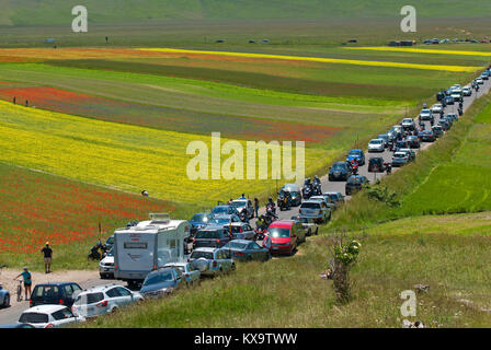 Eine Menge Autos und Menschen in Castelluccio Di Norcia während der Blütezeit im Pian Grande, Sibillini Mountains National Park, Umbrien, Italien Stockfoto