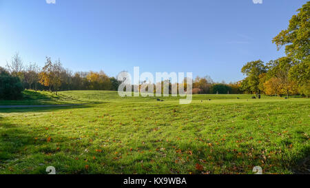 Herbst auf einem Golfkurs in England Großbritannien Stockfoto