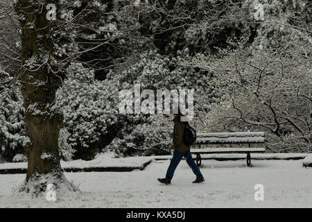 Schnee im Tal Gärten, Harrogate, North Yorkshire, England, UK. Stockfoto