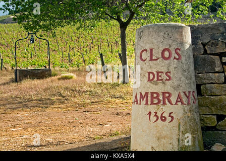 CLOS DES LAMBRAYS steinernen Eingang Marker auf die 1365 Clos des Lambrays Grand Cru Weinberg Morey-St-Denis Cote d'Or Burgund Frankreich Stockfoto