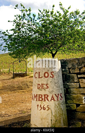 CLOS DES LAMBRAYS steinernen Eingang Marker auf die 1365 Clos des Lambrays Grand Cru Weinberg Morey-St-Denis Côte d'Or Burgund Frankreich Stockfoto