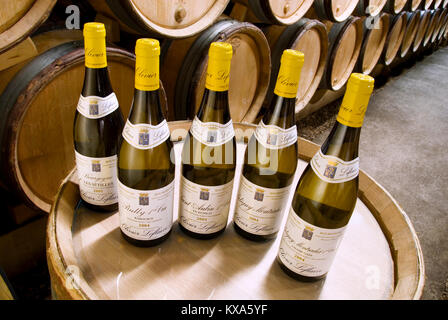 OLIVIER LEFLAIVE CHARDONNAY WEISS BURGUNDER WEIN im Weinkeller auf Fass einschließlich LES SETILLES, Rully 1er Cru, Puligny-Montrachet, Saint Aubin Stockfoto