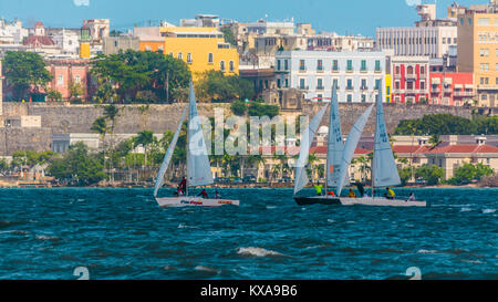 Eine Regatta in San Juan Bay. Stockfoto