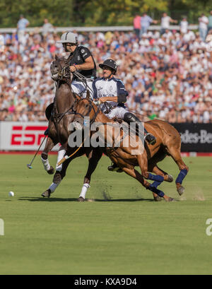 Buenos Aires, Argentinien - 10. Dezember 2016: 123. Argentinische Polo-Meisterschaft zwischen den Teams von La Dolfina ( Weiß ) und Ellerstina ( Schwarz ) Stockfoto