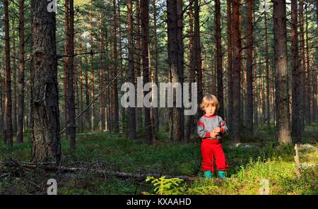 Kleines Mädchen im roten Kleid steht in einem Pinienwald, an den Sommer Stockfoto