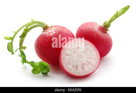 Frische kleine Radieschen auf weißem Hintergrund Stockfoto