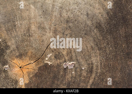 Der Kern der alten Baumstumpf in der Cut close-up Stockfoto