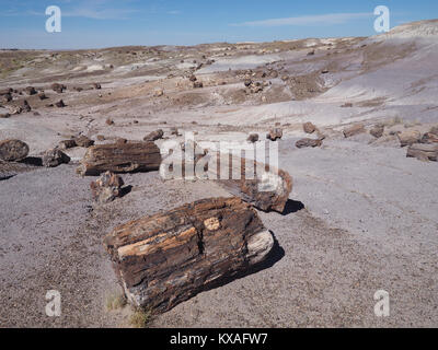 Versteinertes Holz, Petrified Forest National Park, Arizona, USA Stockfoto