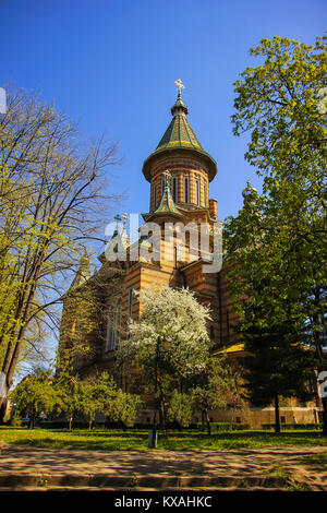 Rückansicht des Griechisch-orthodoxe Kathedrale aus dem nahe gelegenen Park in Timisoara Timis, Rumänien Stockfoto