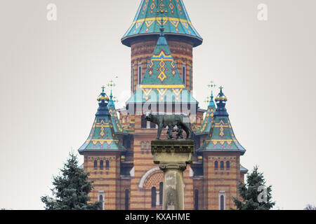 Die Statue Lupa Capitolina mit der Griechisch-orthodoxe Kathedrale im Hintergrund in Timisoara Timis, Rumänien Stockfoto